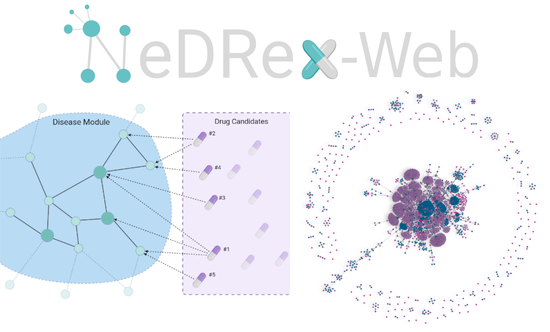 NeDRex-Web